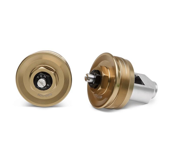 Juego de tapones de horquilla (Z900RS/SE)