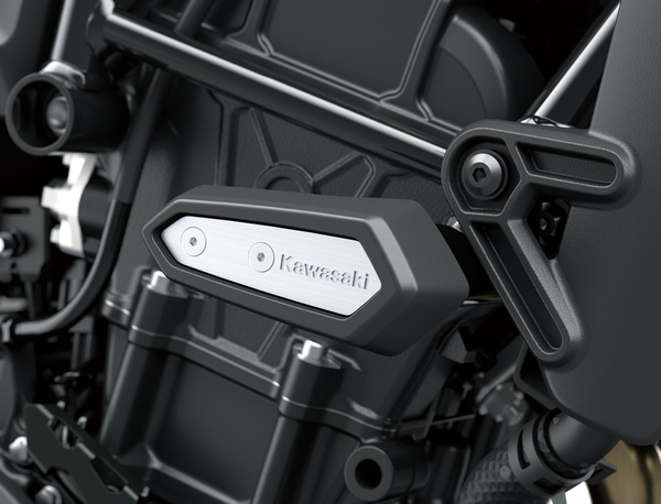 Protectores de chasis (Eliminator 500/SE)