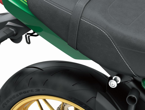 Gancho de amarre de equipaje (Z650RS)