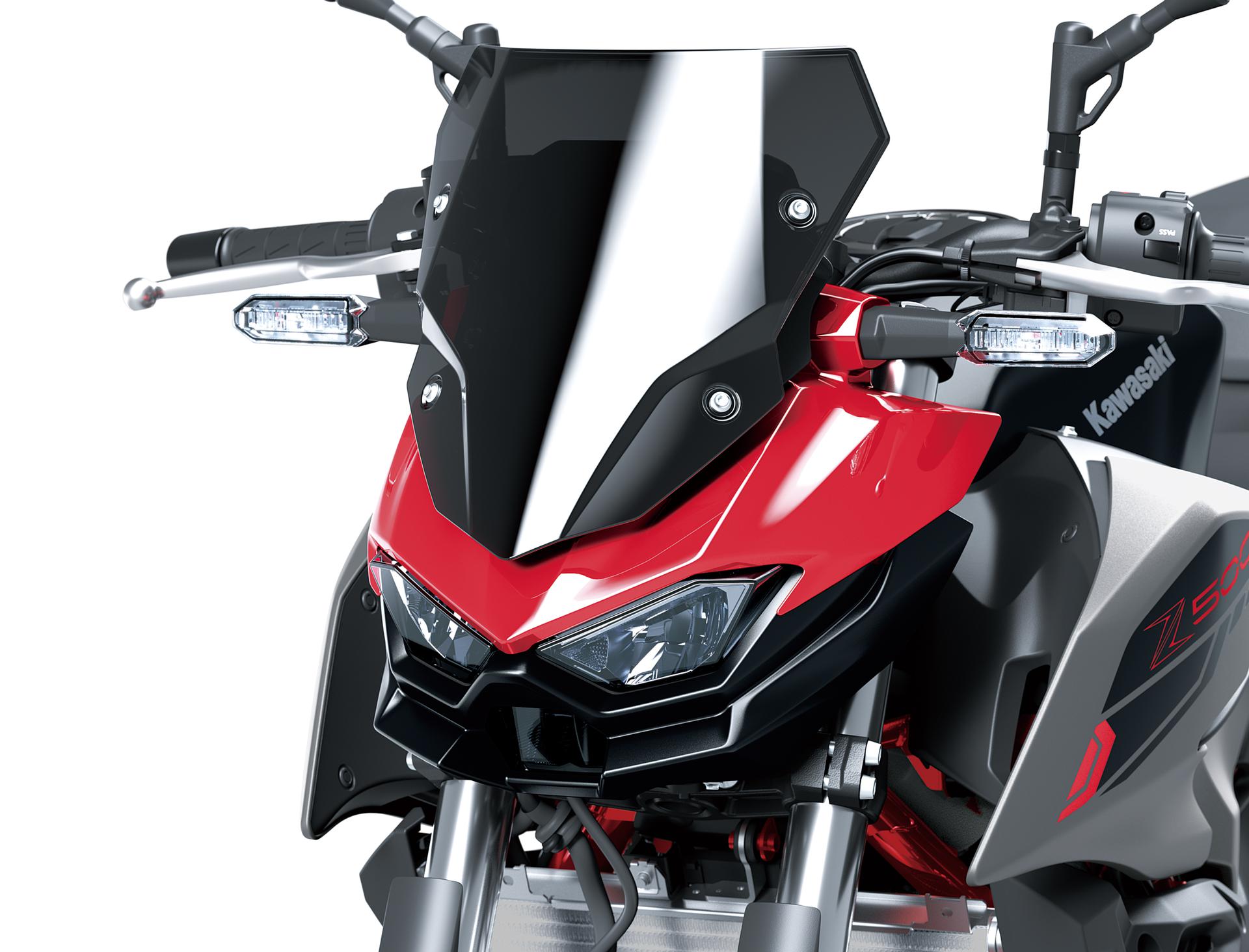 Cubierta ahumada grande del cuadro (Z500)