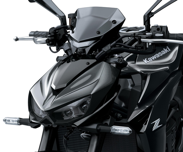 Cubierta ahumada del cuadro (Z1100/SE)