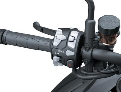 Control de crucero electrónico