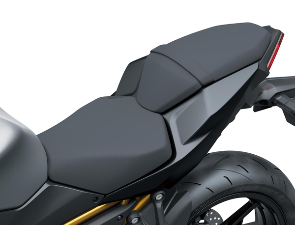 Asiento bajo piloto (Z650 S)