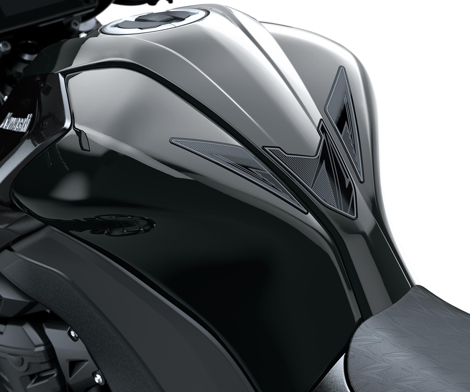 Protector de depósito (Z1100)