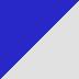 Metallic Ocean Blue / Pearl alpine White
