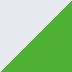 Metallic Bright Silver / Metallic Matte Lime Green